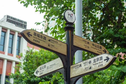 Discover the Best of Czechia: A Guide to Its Must-Visit Food Festivals