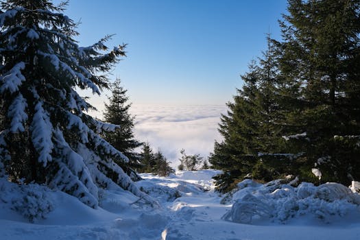 Discover Winter Magic: Best Sports & Resorts in Czech Republic